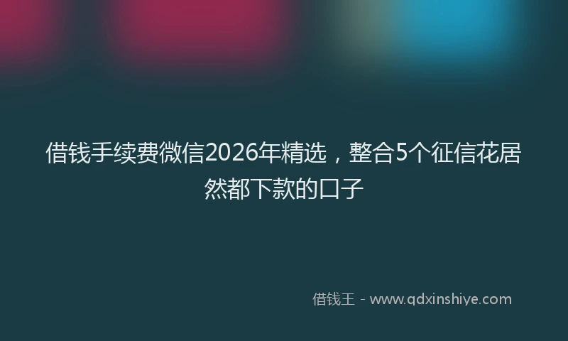借钱手续费微信2026年精选，整合5个征信花居然都下款的口子