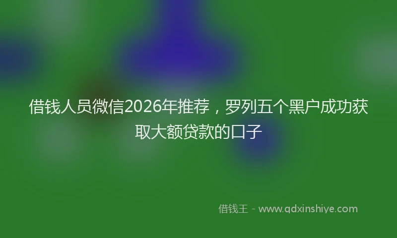 借钱人员微信2026年推荐,罗列五个黑户成功获取大额贷款的口子