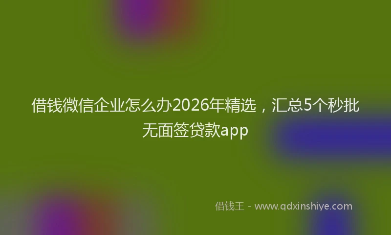 借钱微信企业怎么办2026年精选，汇总5个秒批无面签贷款app