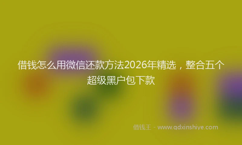 借钱怎么用微信还款方法2026年精选，整合五个超级黑户包下款
