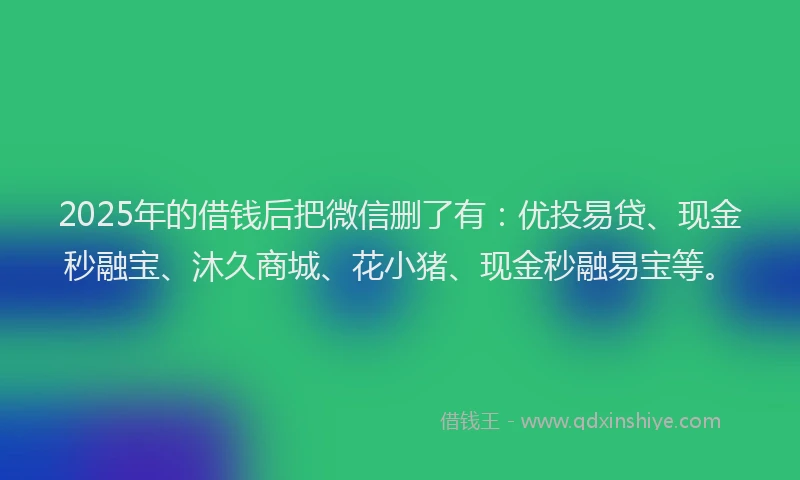 2025年的借钱后把微信删了有:优投易贷、现金秒融宝、沐久商城、花小猪、现金秒融易宝等。