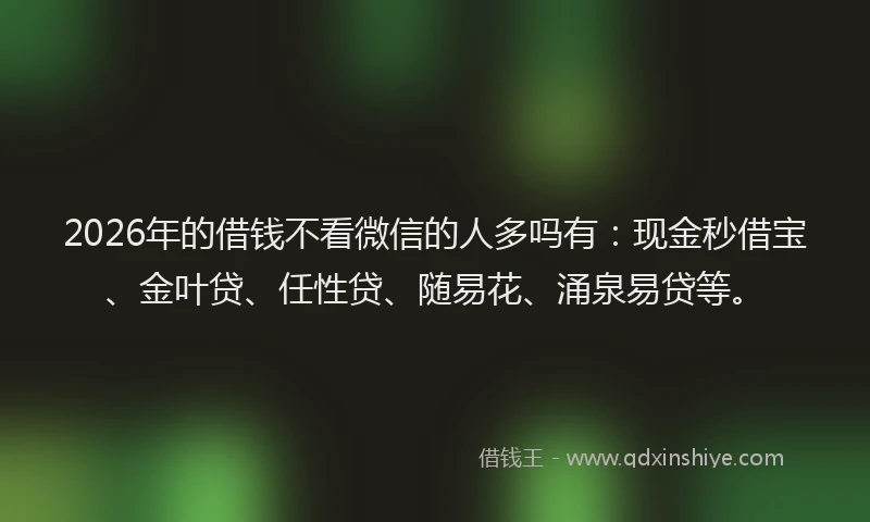 2026年的借钱不看微信的人多吗有:现金秒借宝、金叶贷、任性贷、随易花、涌泉易贷等。