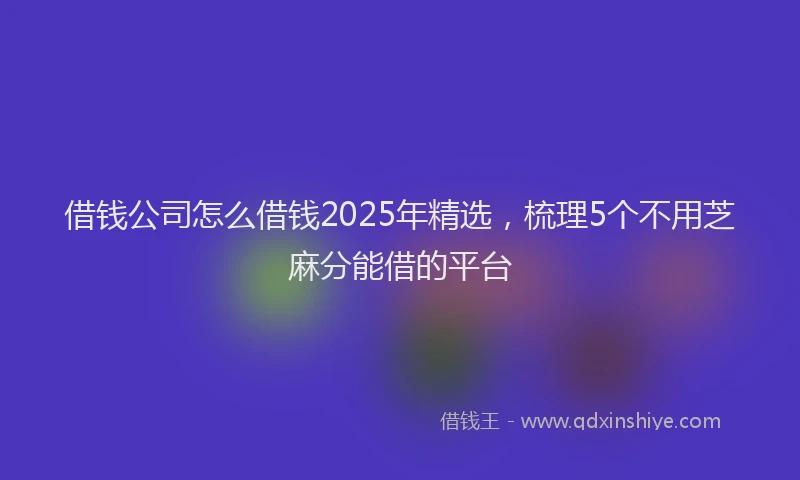 借钱公司怎么借钱2025年精选,梳理5个不用芝麻分能借的平台
