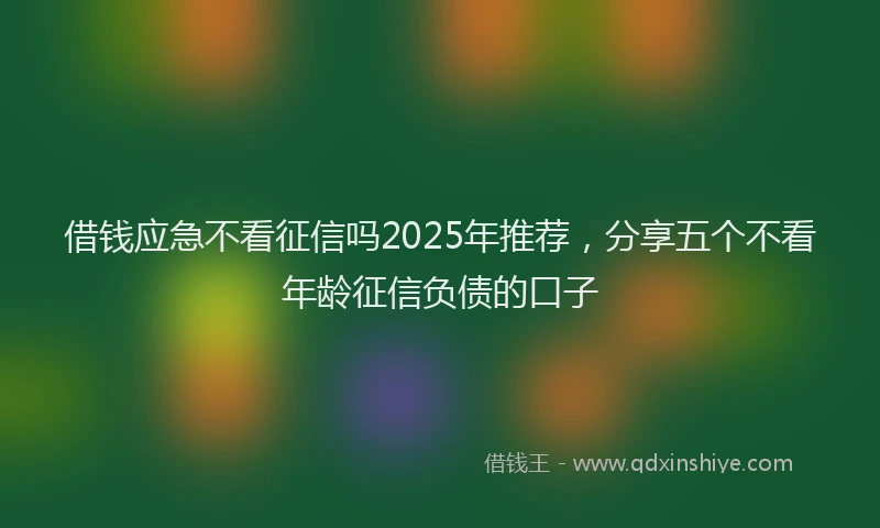 借钱应急不看征信吗2025年推荐，分享五个不看年龄征信负债的口子