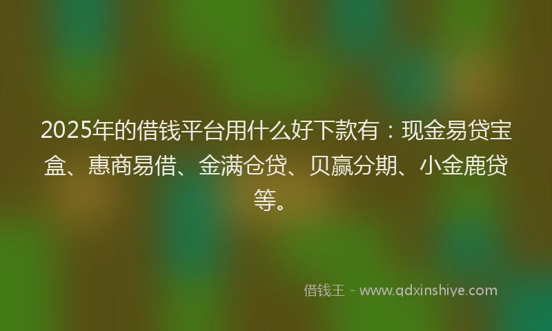 2025年的借钱平台用什么好下款有：现金易贷宝盒、惠商易借、金满仓贷、贝赢分期、小金鹿贷等。