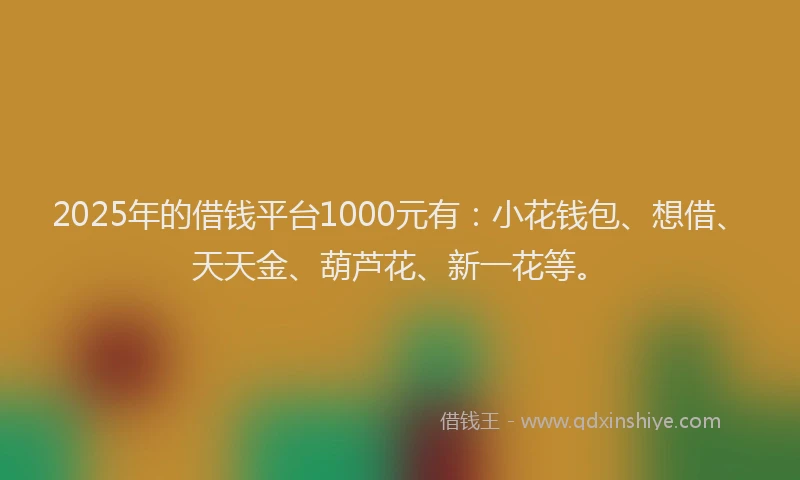 2025年的借钱平台1000元有：小花钱包、想借、天天金、葫芦花、新一花等。