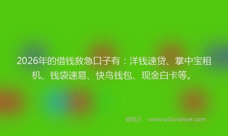 2026年的借钱救急口子有：洋钱速贷、掌中宝租机、钱袋速易、快鸟钱包、现金白卡等。