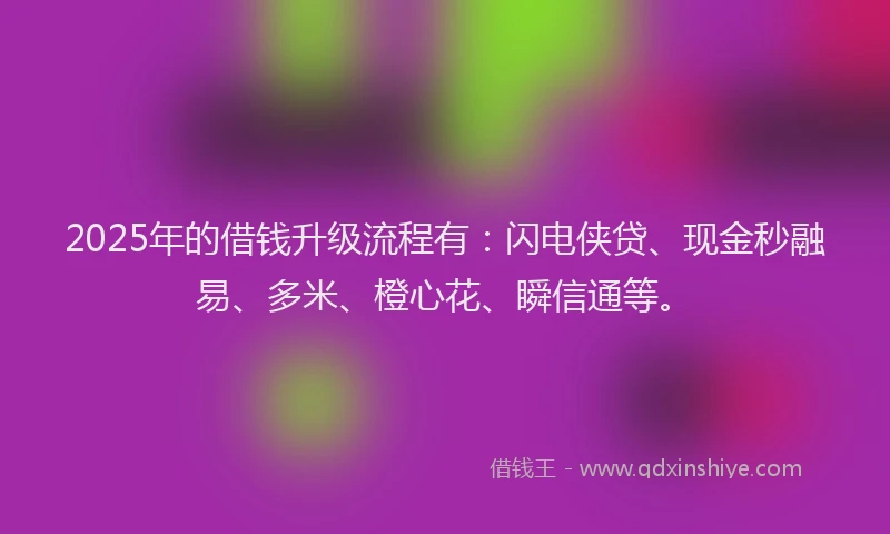 2025年的借钱升级流程有：闪电侠贷、现金秒融易、多米、橙心花、瞬信通等。