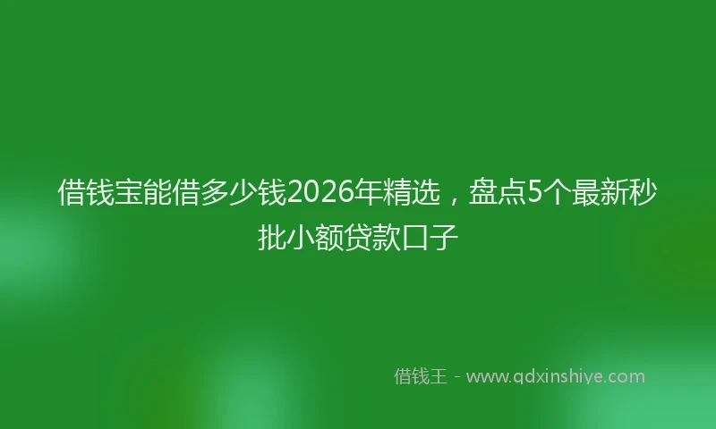 借钱宝能借多少钱2026年精选，盘点5个最新秒批小额贷款口子