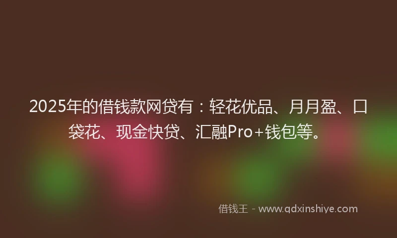 2025年的借钱款网贷有：轻花优品、月月盈、口袋花、现金快贷、汇融Pro+钱包等。