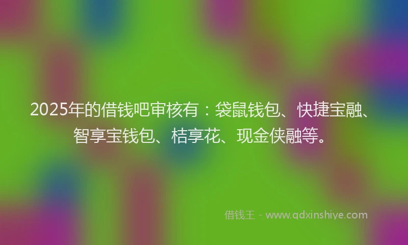 2025年的借钱吧审核有：袋鼠钱包、快捷宝融、智享宝钱包、桔享花、现金侠融等。