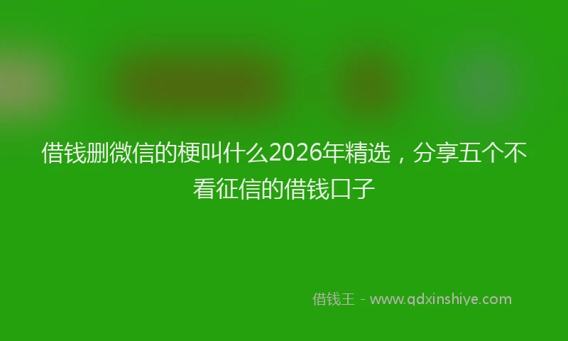 借钱删微信的梗叫什么2026年精选，分享五个不看征信的借钱口子