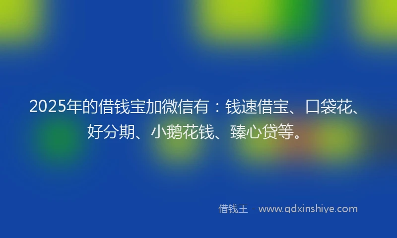 2025年的借钱宝加微信有：钱速借宝、口袋花、好分期、小鹅花钱、臻心贷等。