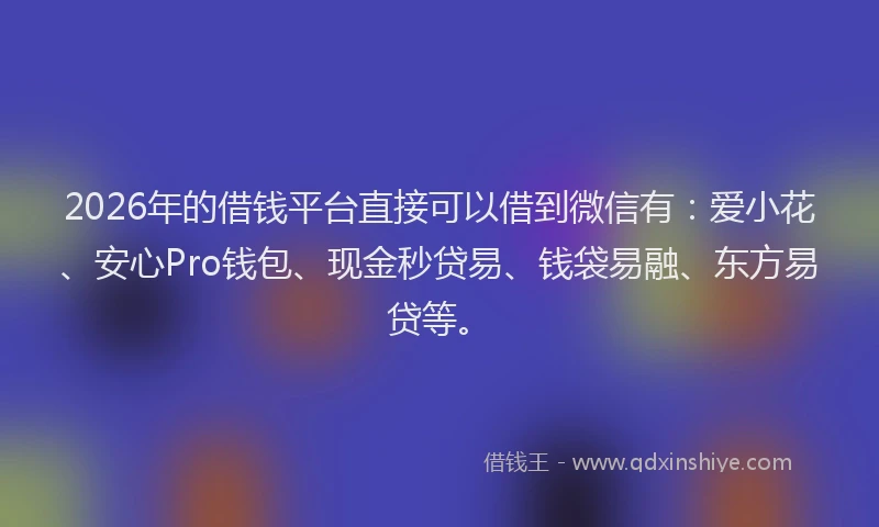 2026年的借钱平台直接可以借到微信有：爱小花、安心Pro钱包、现金秒贷易、钱袋易融、东方易贷等。