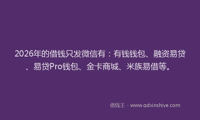 2026年的借钱只发微信有:有钱钱包、融资易贷、易贷Pro钱包、金卡商城、米族易借等。