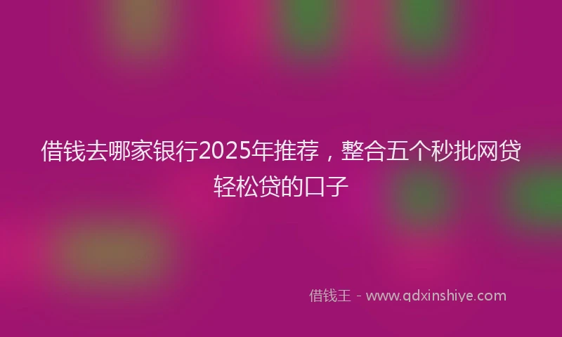 借钱去哪家银行2025年推荐，整合五个秒批网贷轻松贷的口子
