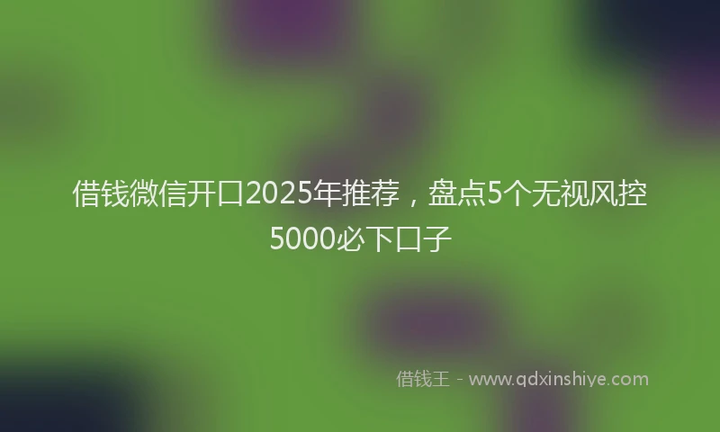 借钱微信开口2025年推荐，盘点5个无视风控5000必下口子
