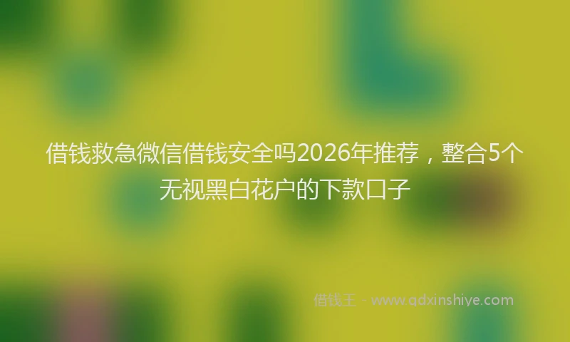 借钱救急微信借钱安全吗2026年推荐,整合5个无视黑白花户的下款口子