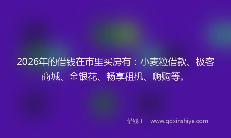 2026年的借钱在市里买房有:小麦粒借款、极客商城、金银花、畅享租机、嗨购等。