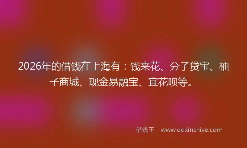 2026年的借钱在上海有：钱来花、分子贷宝、柚子商城、现金易融宝、宜花呗等。