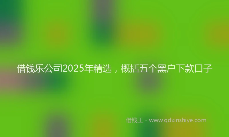 借钱乐公司2025年精选，概括五个黑户下款口子