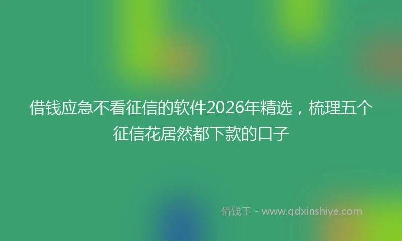 借钱应急不看征信的软件2026年精选，梳理五个征信花居然都下款的口子