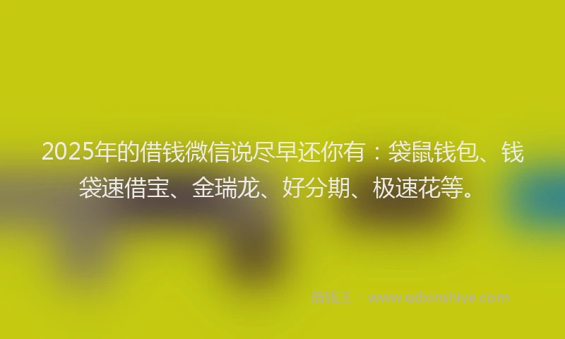 2025年的借钱微信说尽早还你有:袋鼠钱包、钱袋速借宝、金瑞龙、好分期、极速花等。
