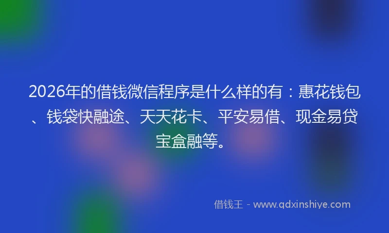 2026年的借钱微信程序是什么样的有:惠花钱包、钱袋快融途、天天花卡、平安易借、现金易贷宝盒融等。