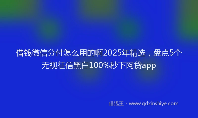 借钱微信分付怎么用的啊2025年精选，盘点5个无视征信黑白100%秒下网贷app