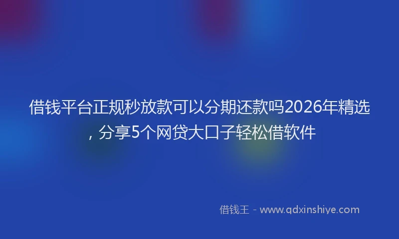 借钱平台正规秒放款可以分期还款吗2026年精选，分享5个网贷大口子轻松借软件