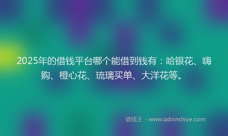 2025年的借钱平台哪个能借到钱有：哈银花、嗨购、橙心花、琉璃买单、大洋花等。