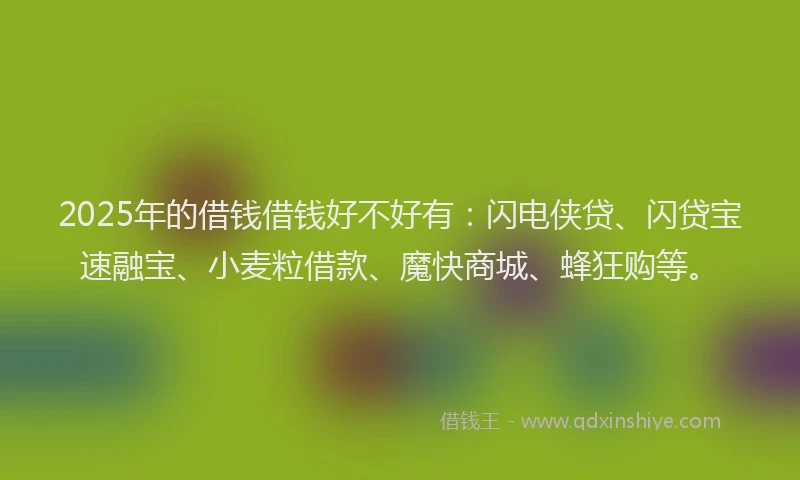 2025年的借钱借钱好不好有：闪电侠贷、闪贷宝速融宝、小麦粒借款、魔快商城、蜂狂购等。