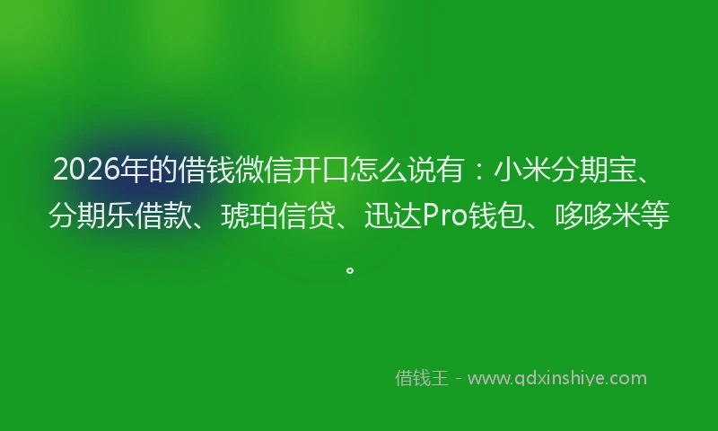 2026年的借钱微信开口怎么说有:小米分期宝、分期乐借款、琥珀信贷、迅达Pro钱包、哆哆米等。