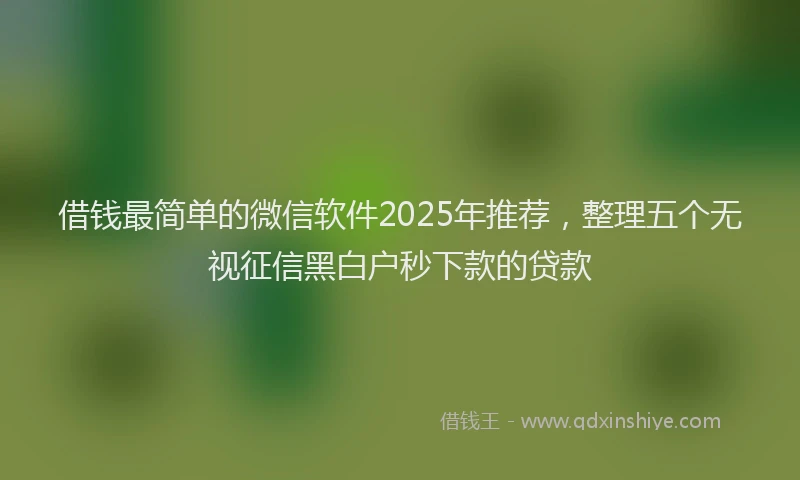 借钱最简单的微信软件2025年推荐，整理五个无视征信黑白户秒下款的贷款