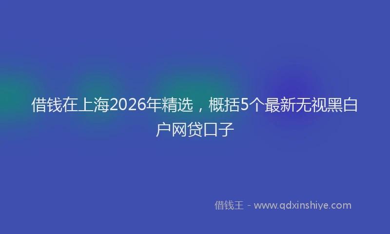 借钱在上海2026年精选，概括5个最新无视黑白户网贷口子
