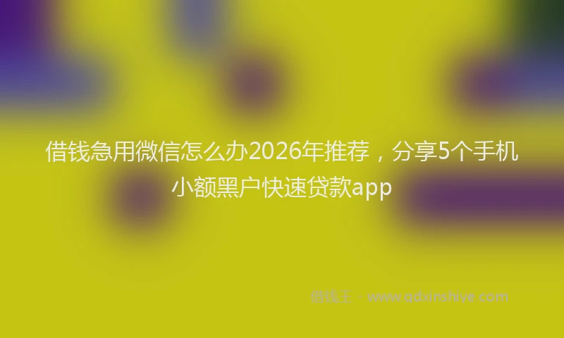 借钱急用微信怎么办2026年推荐，分享5个手机小额黑户快速贷款app