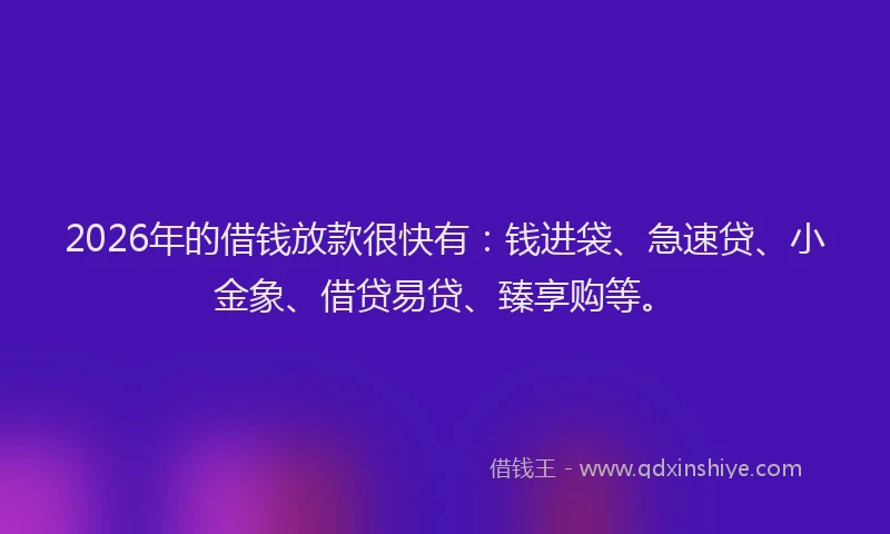 2026年的借钱放款很快有：钱进袋、急速贷、小金象、借贷易贷、臻享购等。