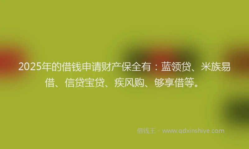 2025年的借钱申请财产保全有：蓝领贷、米族易借、信贷宝贷、疾风购、够享借等。