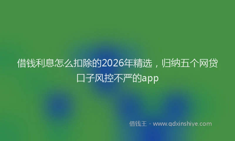 借钱利息怎么扣除的2026年精选，归纳五个网贷口子风控不严的app