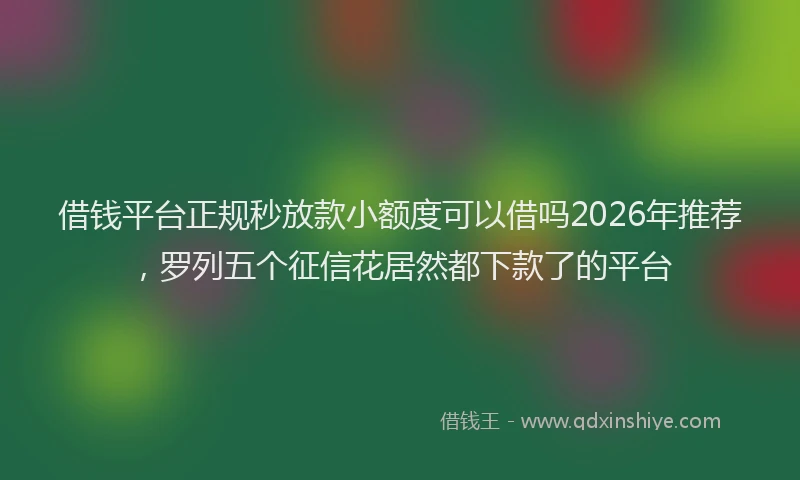借钱平台正规秒放款小额度可以借吗2026年推荐，罗列五个征信花居然都下款了的平台