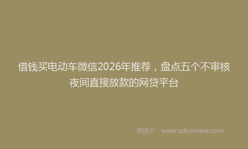 借钱买电动车微信2026年推荐，盘点五个不审核夜间直接放款的网贷平台