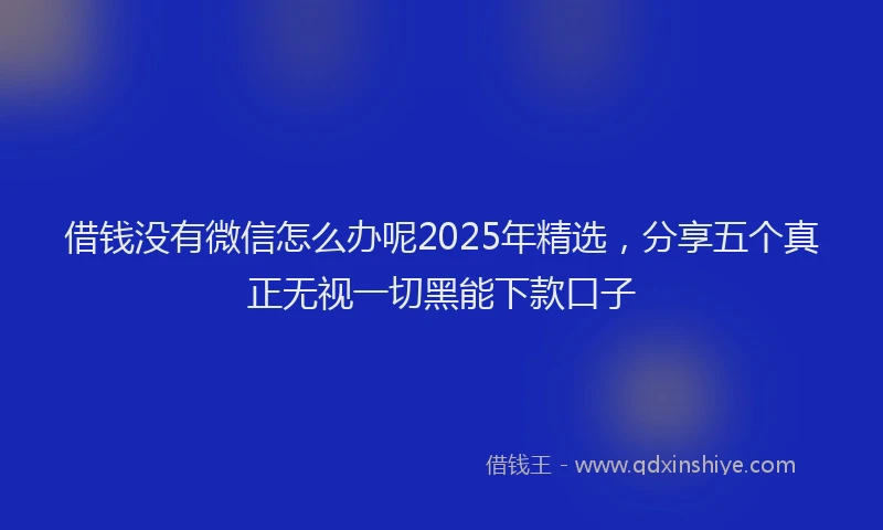 借钱没有微信怎么办呢2025年精选，分享五个真正无视一切黑能下款口子