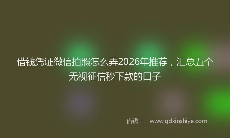 借钱凭证微信拍照怎么弄2026年推荐，汇总五个无视征信秒下款的口子