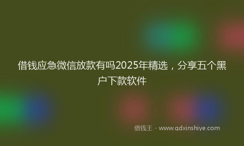 借钱应急微信放款有吗2025年精选，分享五个黑户下款软件
