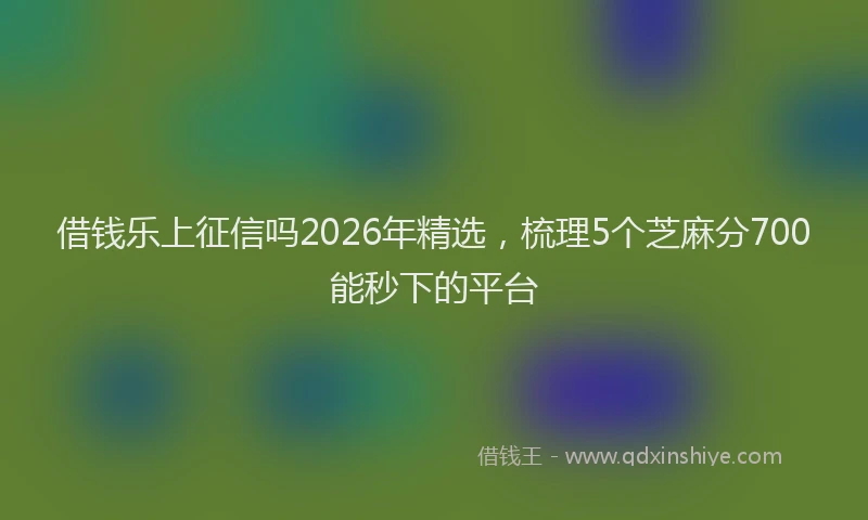 借钱乐上征信吗2026年精选,梳理5个芝麻分700能秒下的平台