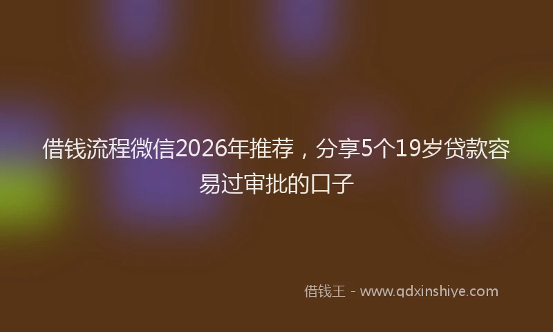 借钱流程微信2026年推荐，分享5个19岁贷款容易过审批的口子