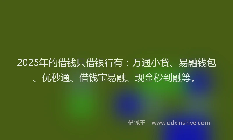 2025年的借钱只借银行有：万通小贷、易融钱包、优秒通、借钱宝易融、现金秒到融等。