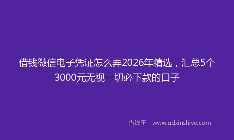 借钱微信电子凭证怎么弄2026年精选，汇总5个3000元无视一切必下款的口子