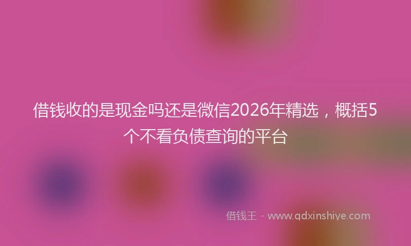 借钱收的是现金吗还是微信2026年精选，概括5个不看负债查询的平台