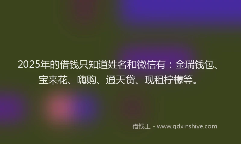 2025年的借钱只知道姓名和微信有：金瑞钱包、宝来花、嗨购、通天贷、现租柠檬等。